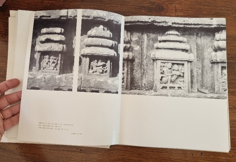 Picture 8 of 8