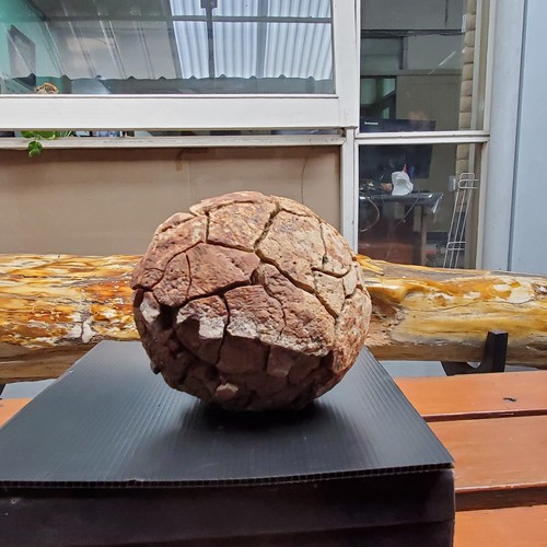 587 G Septarium Dragon Stone Septarian like Brain Crystal Rough Mineral Specimen - Picture 3 of 10