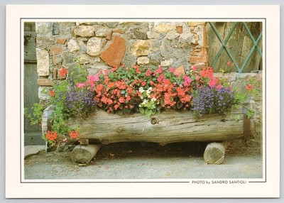 Italia Serie Particolari Sandro Santioli Photo Italy Postcard