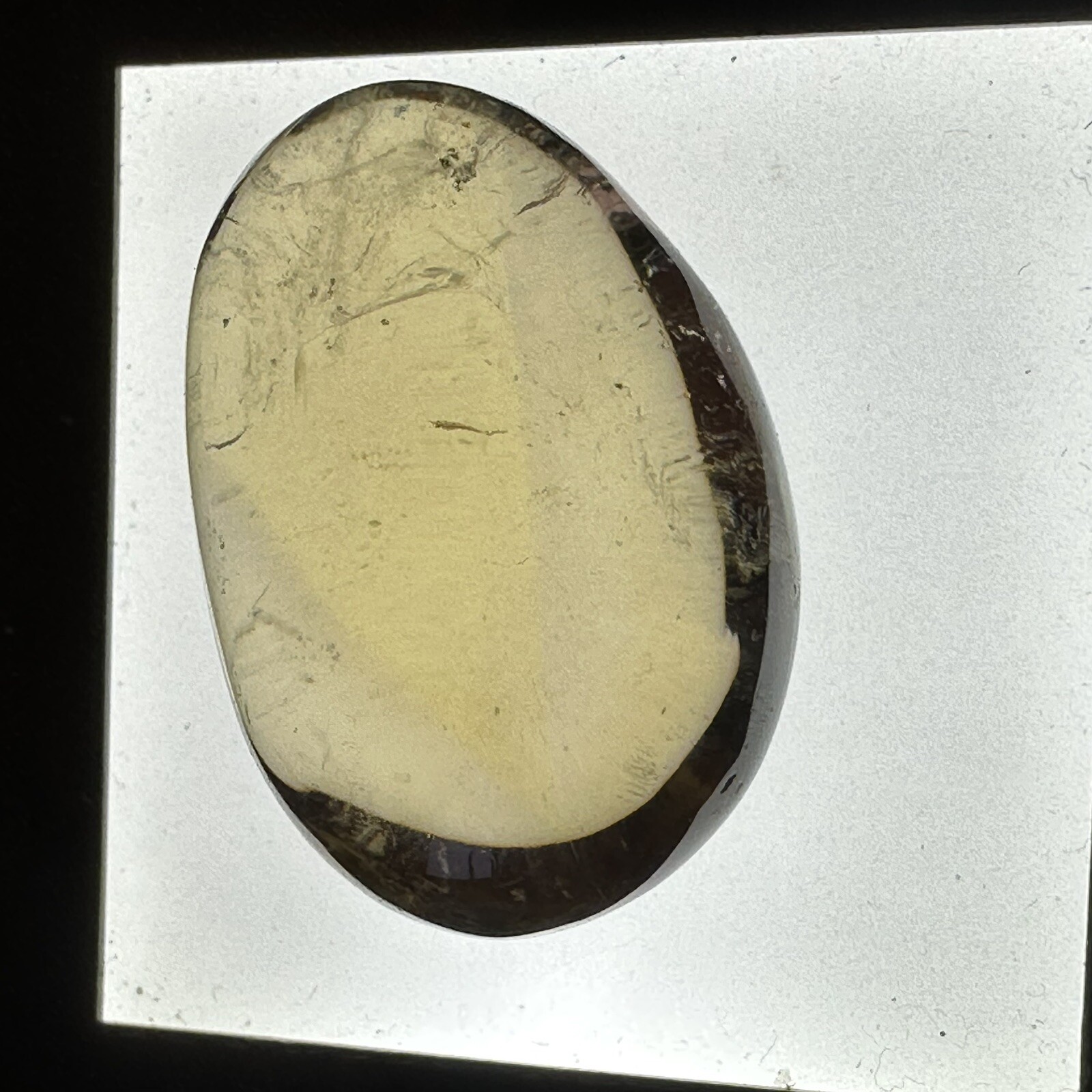 Picture 10 of 24