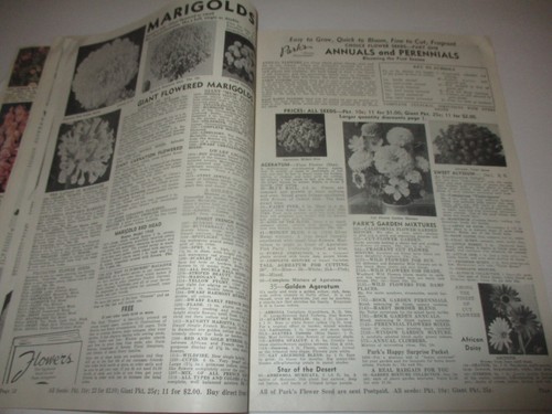 Geo. W. Park Seed Co. catalog 1950 - 'Fire Chief' petunia Greenwood, S. C. - Picture 6 of 11