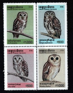 2026 Cambodia Local Preah Vihear Province Cambodian Endemic Owls