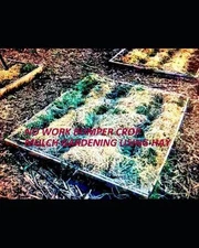 No Work Bumper Crop Mulch Gardening Using Hay: Or Straw, Grass, Leaves, Wood Chi