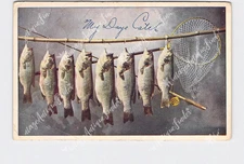 PPC Postcard Stringer Of Fish Bass Net Rod Reel My Days Catch