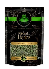 SAI HERBS Ficus Carcia Leaves - Pure & Natural