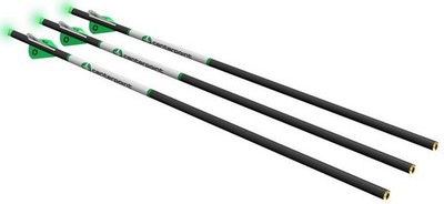 CenterPoint Crossbows Arrows 400 Grain 20'' Green 3 Pack - C1013