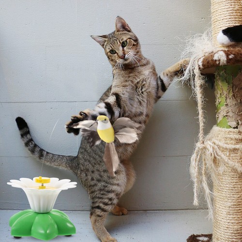 Juguete eléctrico para gato aburrimiento juguete interactivo de repuesto
