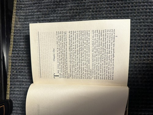Vintage Liebesroman "in der Nähe" Elizabeth Yates Sammelbuch - Bild 9 von 11