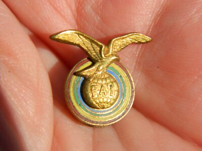 VINTAGE PIN ANSTECKER / F. A. I .  FEDERATION AERONAUTIQUE INTERNATIONALE 