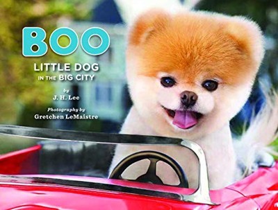 Boo: Little Dog in the Big City by Lee, J.H.