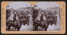 Roosevelt's 'Rough Rider's' sic arrival at Tampa,Florida,FL,c1898,Reproduction