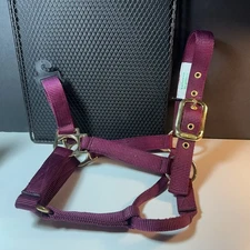 Valhoma Burgandy Non-Adjustable Yearling Horse Halter- NEW!