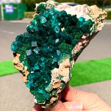 483G Natural green dioptase emerandine+azuritegemstone cluster mineral specime