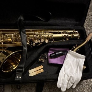 Glory Alto Saxophone Gold Lacquered Brass w/ Case Mouthpiece Neck Strap