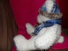 Haunted Teddy Bear, Reggie, 12 Year-Old Boy, Active, Loves Sports, Being Outside — photo 4