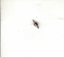 Vintage NOS Balance Staff from BestFit Assortment 22AA Illinois 18 size