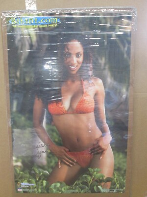 Vintage 2000 Desiree Wynn bikini original hot girl poster 19925