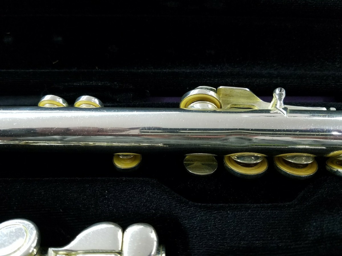 Andreas Eastman EFL210 Flute with Case | eBay