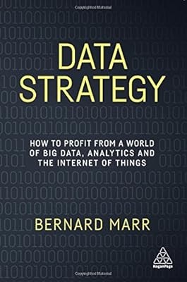 Data Strategy: How to Profit from a World of Big Data, Analytics and the Interne