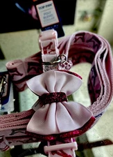 Top Paw Poly  Blend Dog Leash 6 Foot Long Crown Hearts w/Large Collar Sooo Cute