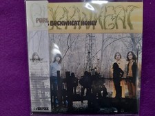 BUCKWHEAT / PURE BUCKWHEAT HONEY MINI LP CD NEW STRAY DOG