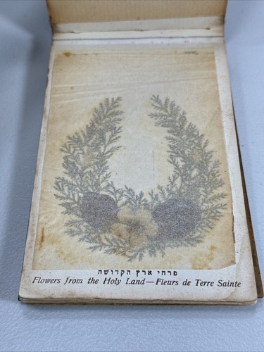 Flowers of the Holy Land Pressed Flower Book - Olive Wood Covers - Jerusalem - Picture 7 of 15