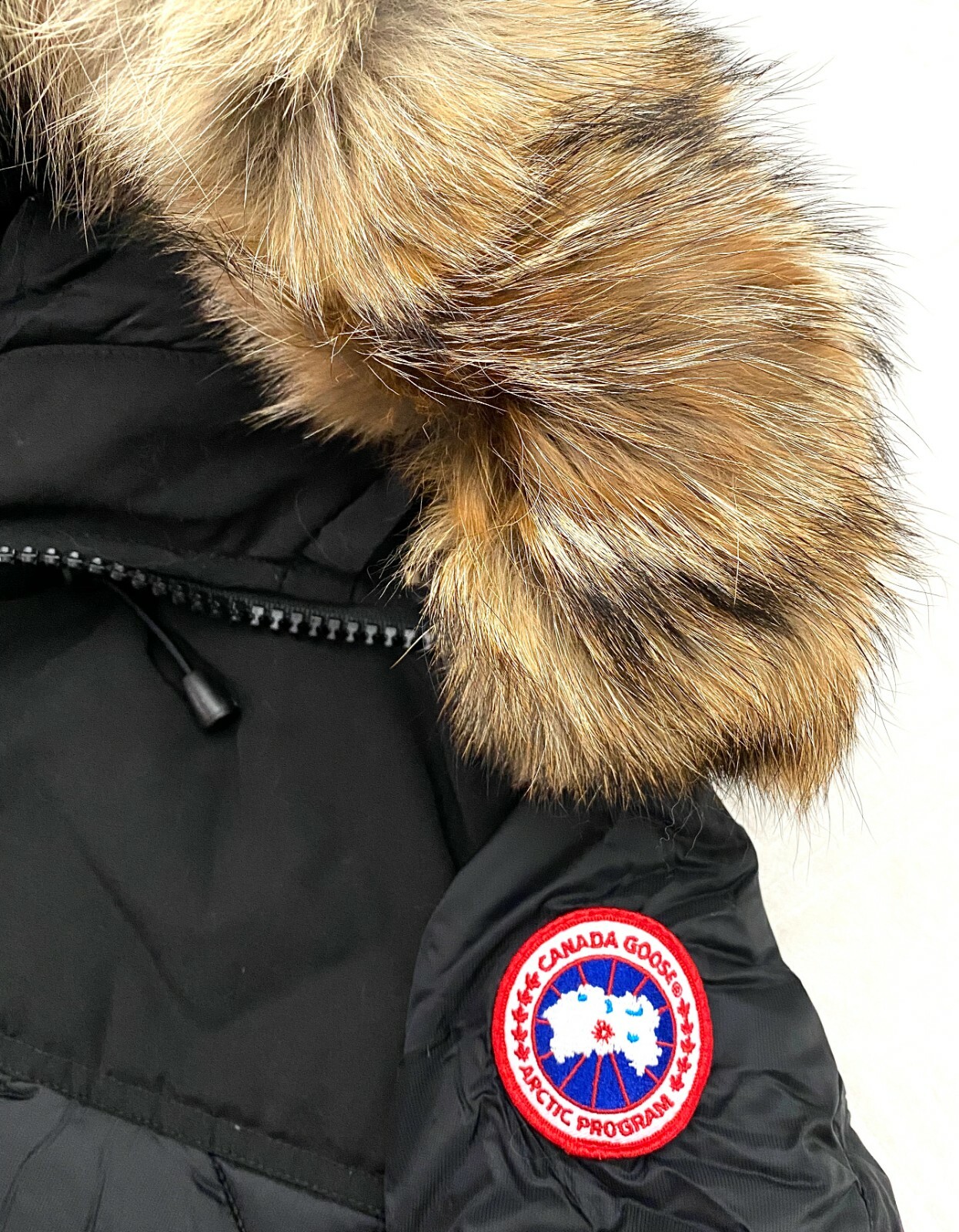 canada goose 3203m