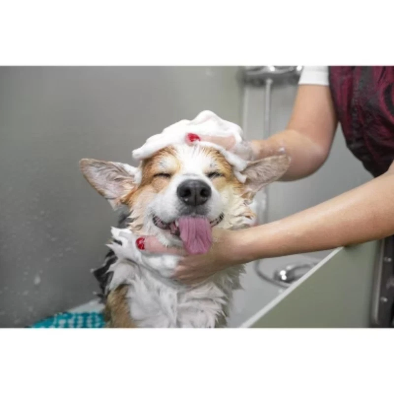 Groomer Essentials Dual-End Toothbrushes - Image 2 of 2