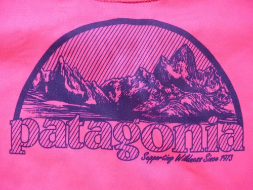 Patagonia Top Womens Small Capilene 1 Silkweight PInk Graphic Tee Shirt FLAWS - Picture 6 of 14