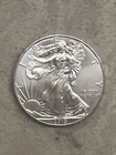 2013 $1 American Silver Eagle 1 oz Brilliant Uncirculated