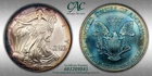 2004 Silver Eagle CAC Grading (CACG) UNC - *Rainbow Toning*