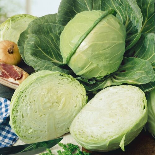 1 Lb Golden Acre Cabbage Seeds - Everwilde Farms Mylar Seed Packet - Picture 2 of 2