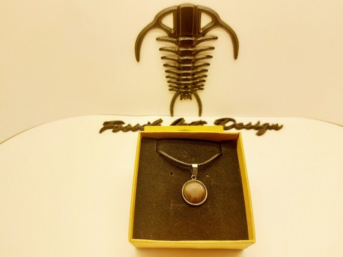 Fossil Wood pendente rotondo art.1prw - Foto 3 di 7