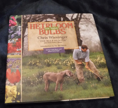 Heirloom Bulbs by Chris Wiesinger and Cherie-Foster Colburn (2010, Hardcover)