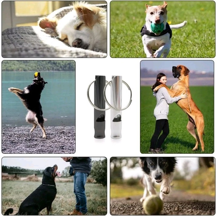 2 PCS SET Hot Pet Dog Training Whistle Dog Obedience Stop Barking Pet All Breeds