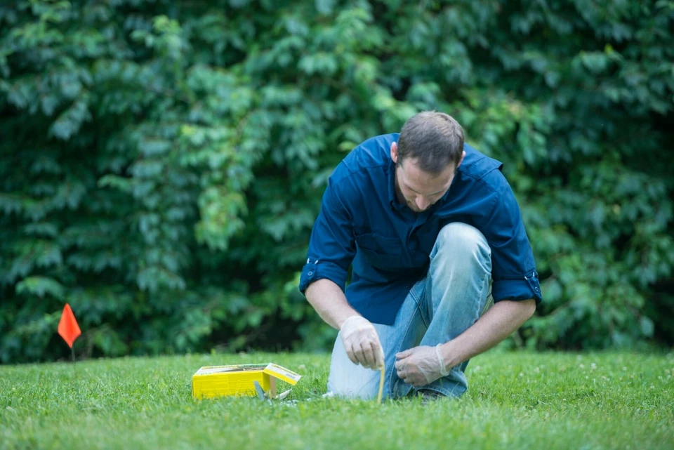 Tomcat Mole Killer, 10 cebos/paquete Foto 4 de 4