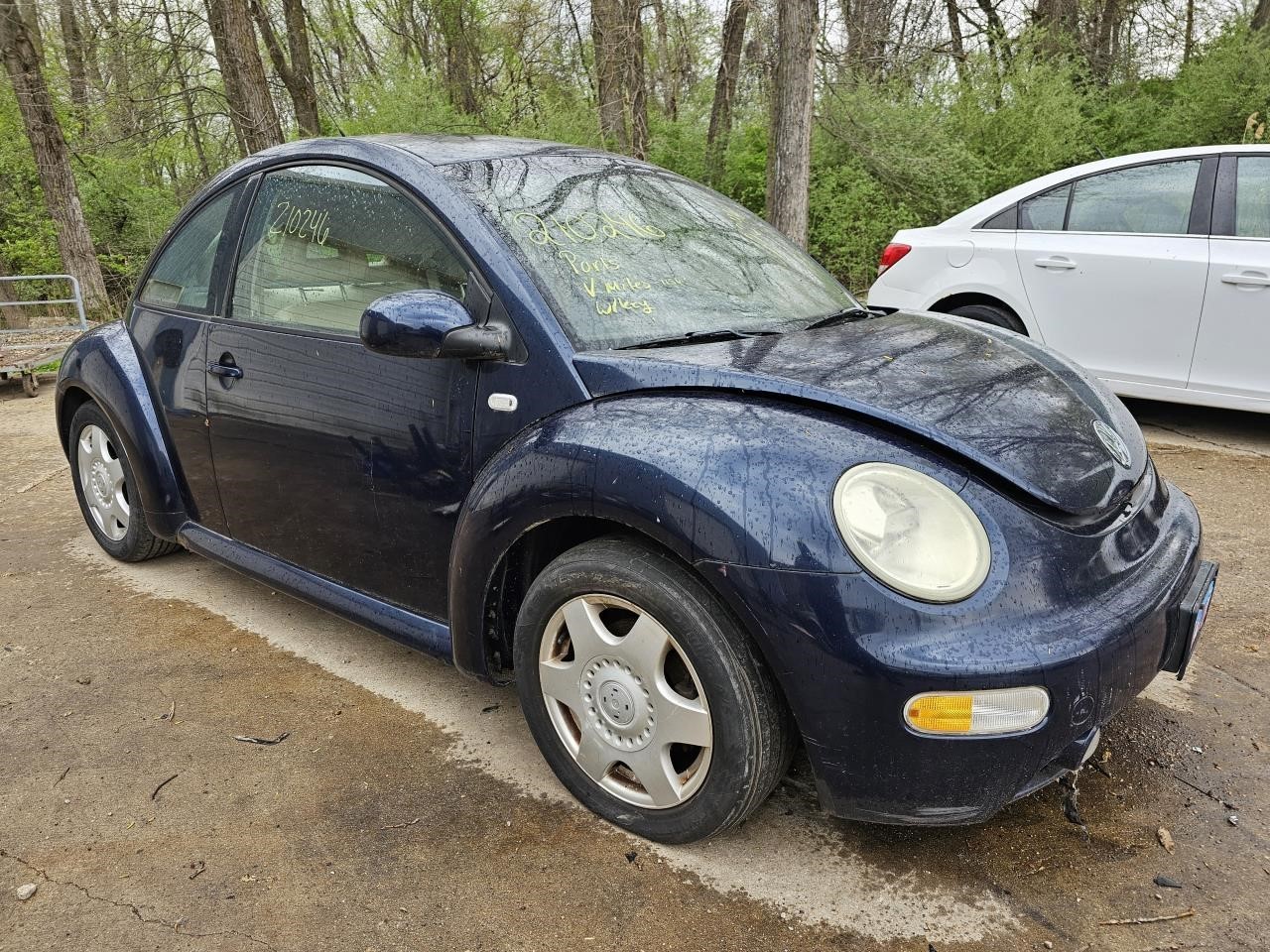 Picture 3