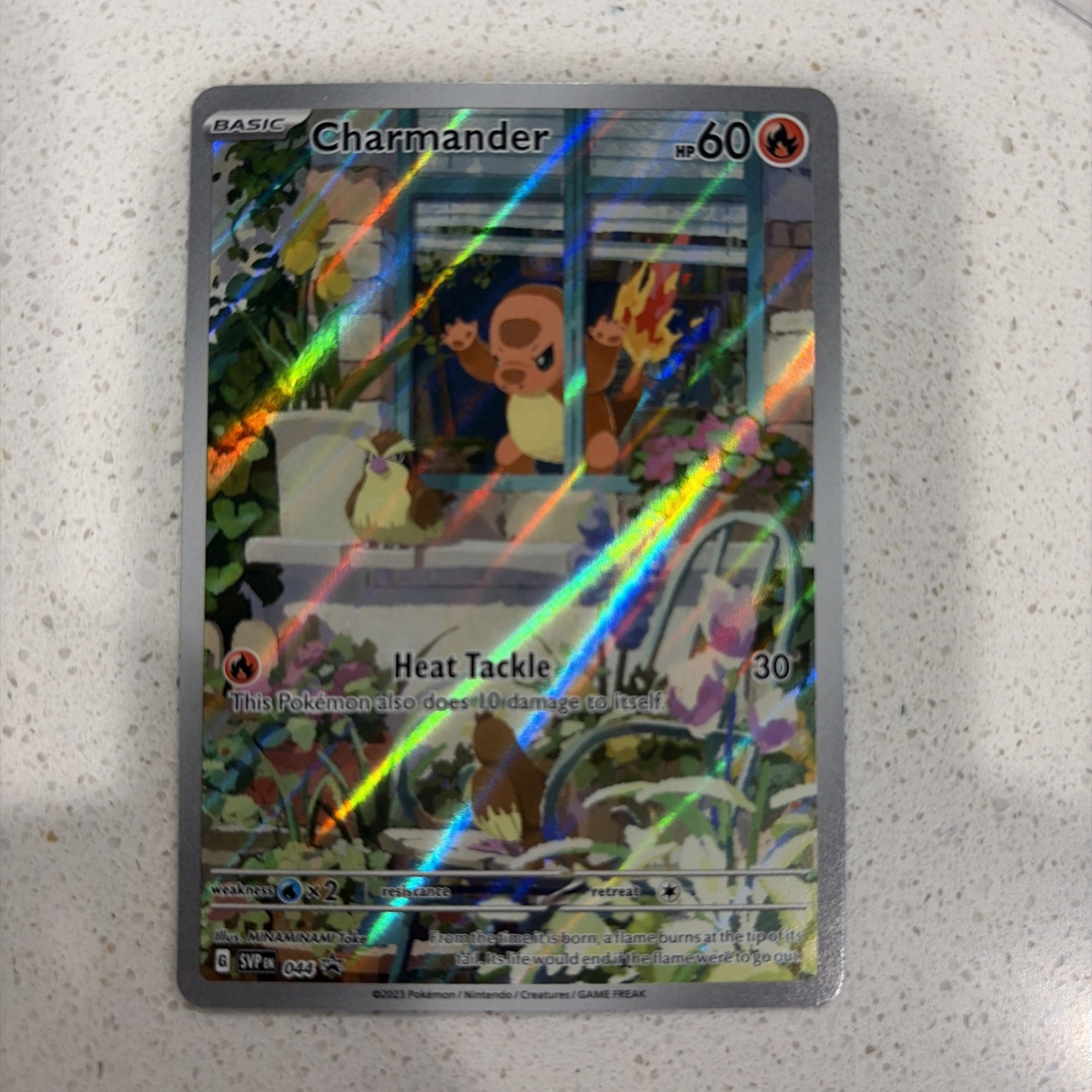 Charmander 44/ SV Black Star Promos NM Pokemon TCG Card
