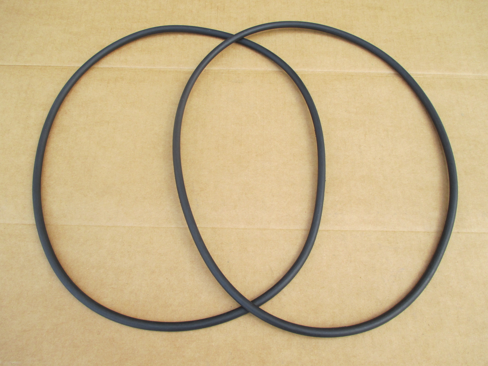 O-Ring Del Coperchio Del Filtro Hayward StarClaear E Scplus | Piscina Y Spa