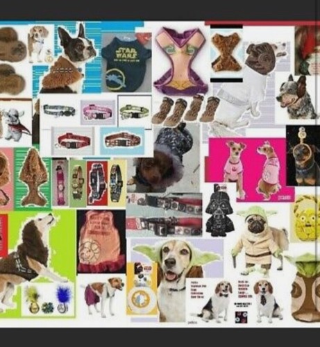 Petco Star Wars Yoda Dog Hoodie Large Sweater Sweatshirt Rare Costume,L,NEW Hood - Picture 9 of 23