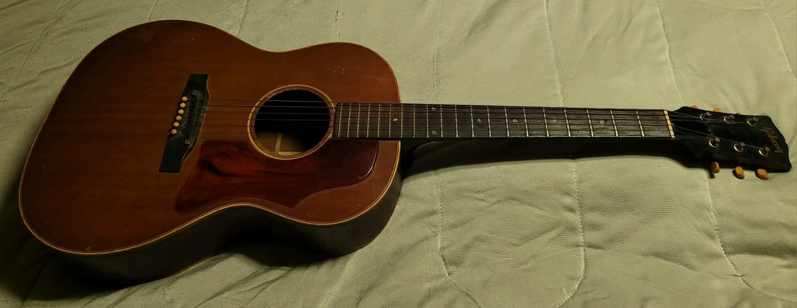 Picture 1 of 24