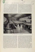 Original Old Antique Print Inside Hatcheries C1898 Art 19th Century