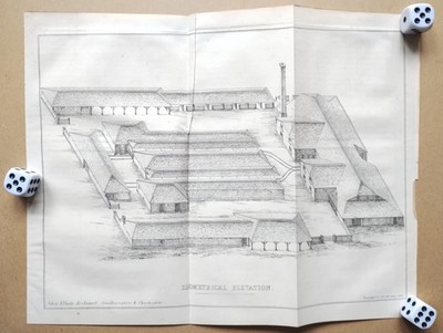 Beispiel isometrische Ansicht einer britischen Farm - antiker Druck - um 1860