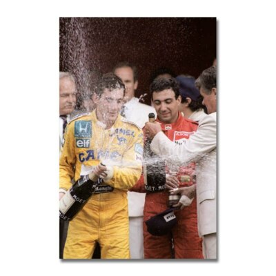 PLAQUE EN MÉTAL FORMULE 1 AYRTON SENA  30 X 20 CM 