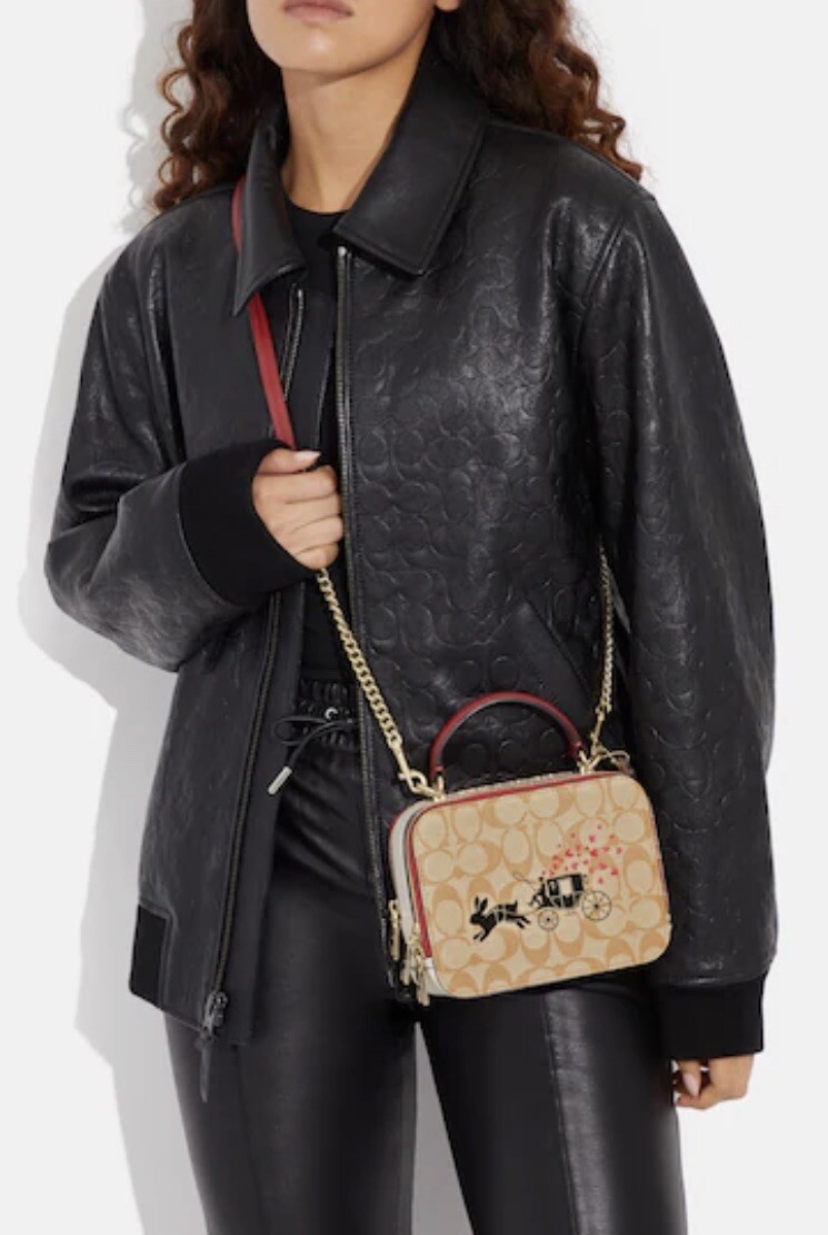 COACH バック COACH コーチ ショルダーバッグ レディース 縦型 レザー 2way
