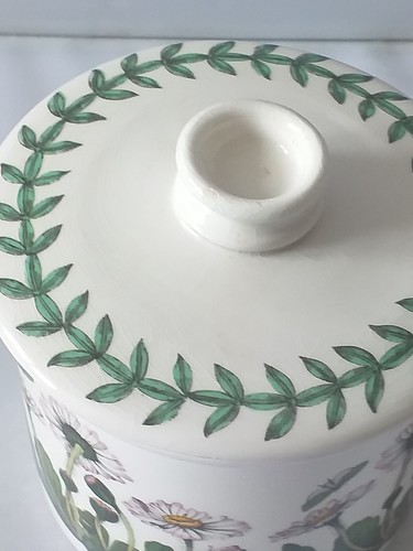 Taza de jardín botánico Portmeirion + platillo, jarra o azucarero - varios tamaños elige 1 - Imagen 68 de 68