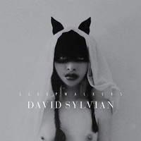 David Sylvian - Sleepwalkers (Remastered) (180G) (+Poster) - - (Lp / S)