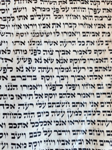 TORAH SCROLL FRAGMENT MANUSCRIPT on VELLUM antique BIBLE DEUTERONOMY 11:4-13:12 - Picture 15 of 17
