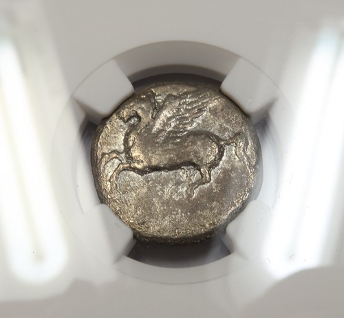 350-300 BC NGC ANCIENTS VG | ACARNANIA, ARGOS AMPH. AR Stater Pegasus #40416A - 第 2/4 張圖片