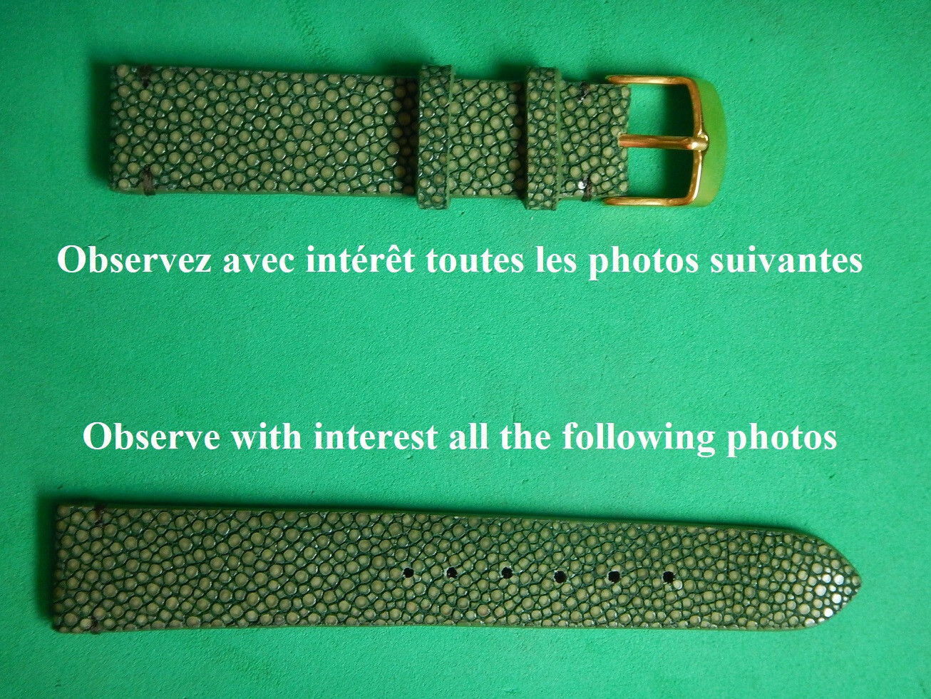 Bracelet montre 19 mm en galuchat véritable vert forêt au grain poli insolite